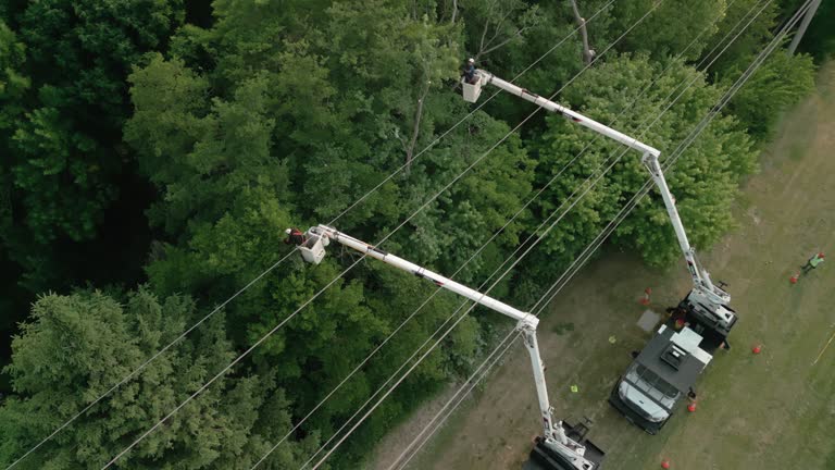  Mcconnellsburg, PA Tree Services Pros